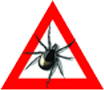 Informationen zu Zecken